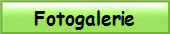 Fotogalerie